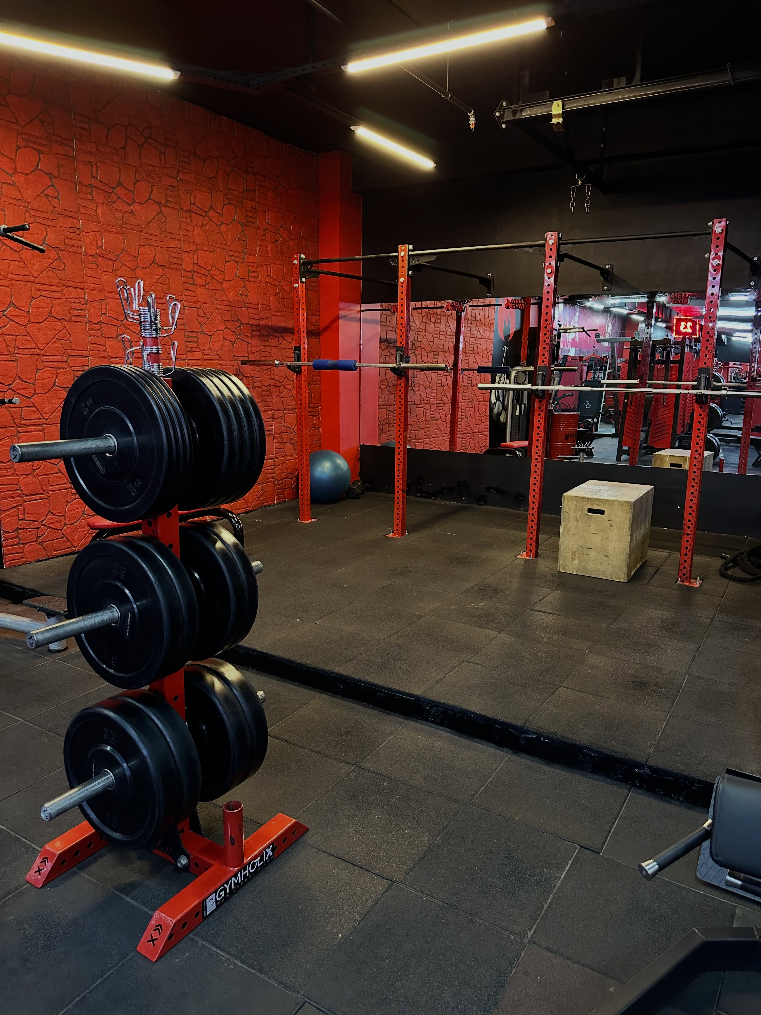 Hell Gym Bosna Ekipman 8