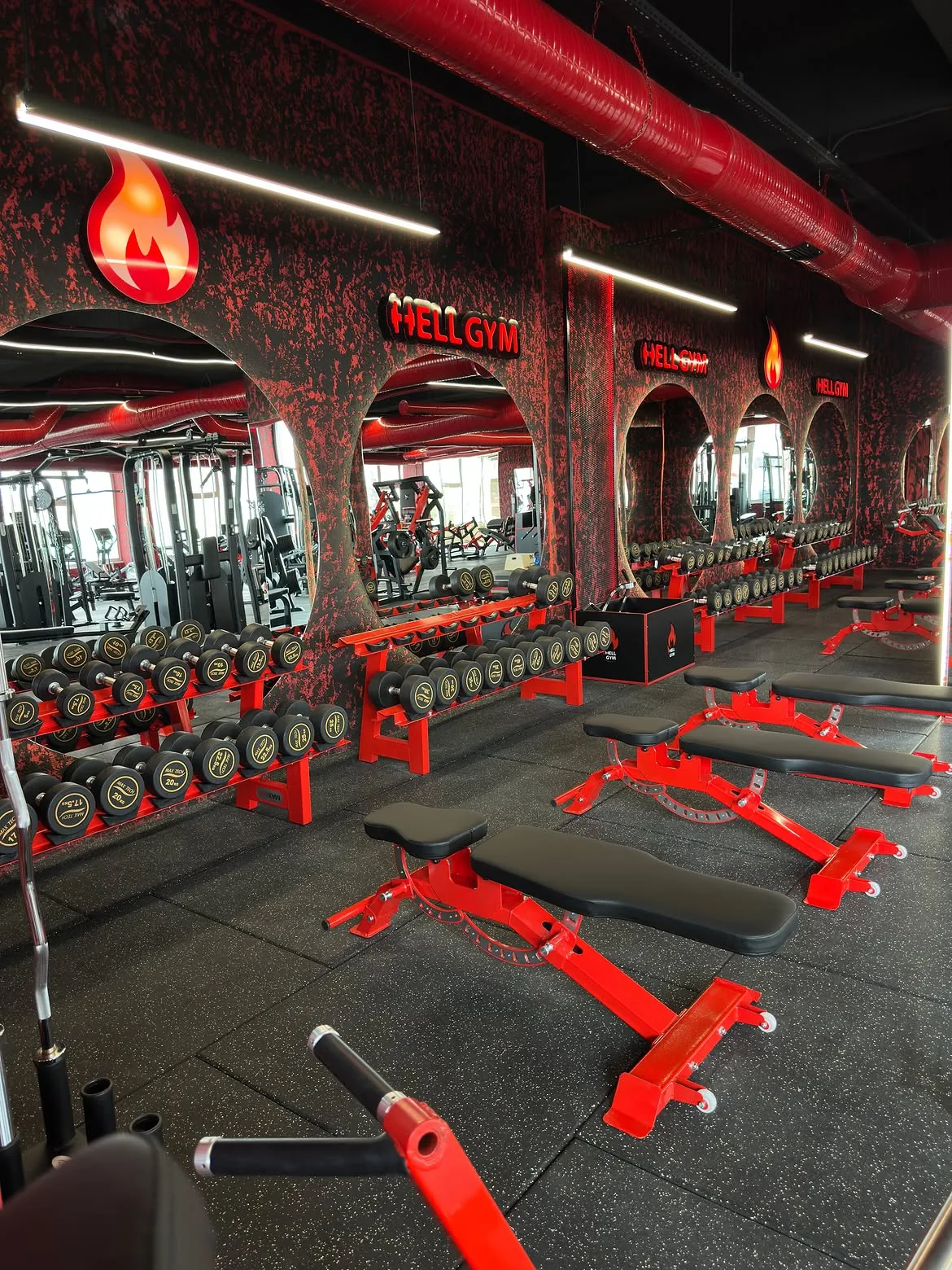 Hell Gym Profesyonel Ekipman 14