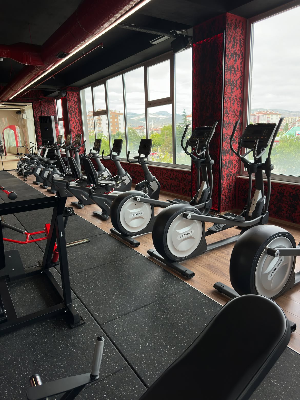 Hell Gym Ekipman 18